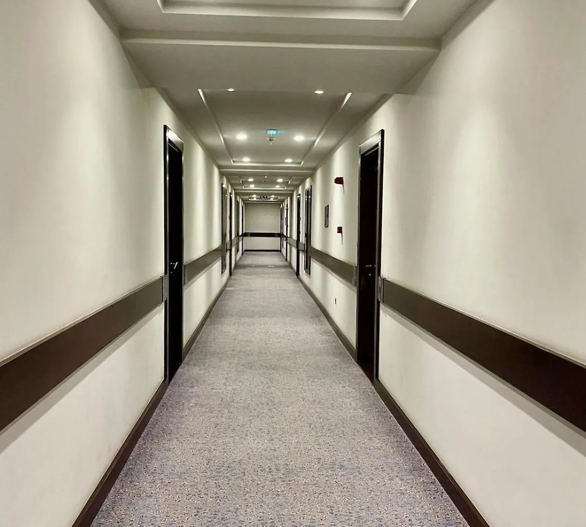 The Heart Of Baku Apartment